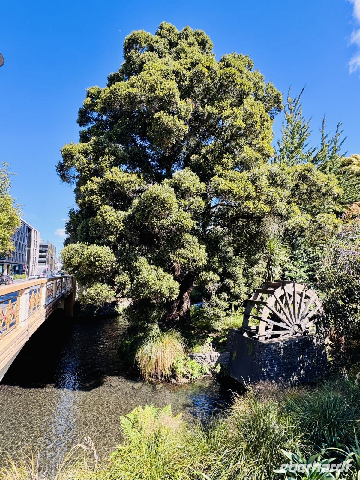 Tag 14 - Christchurch 