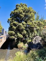 Tag 14 - Christchurch 