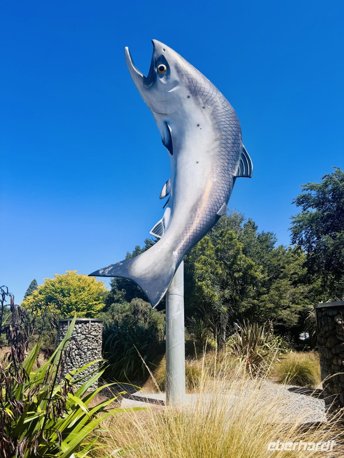 Tag 14 - Lachsfisch, Rakaia