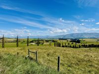 Tag 14 - Auf dem Weg nach Lake Tekapo
