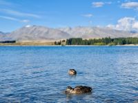 Tag 14 - Lake Tekapo