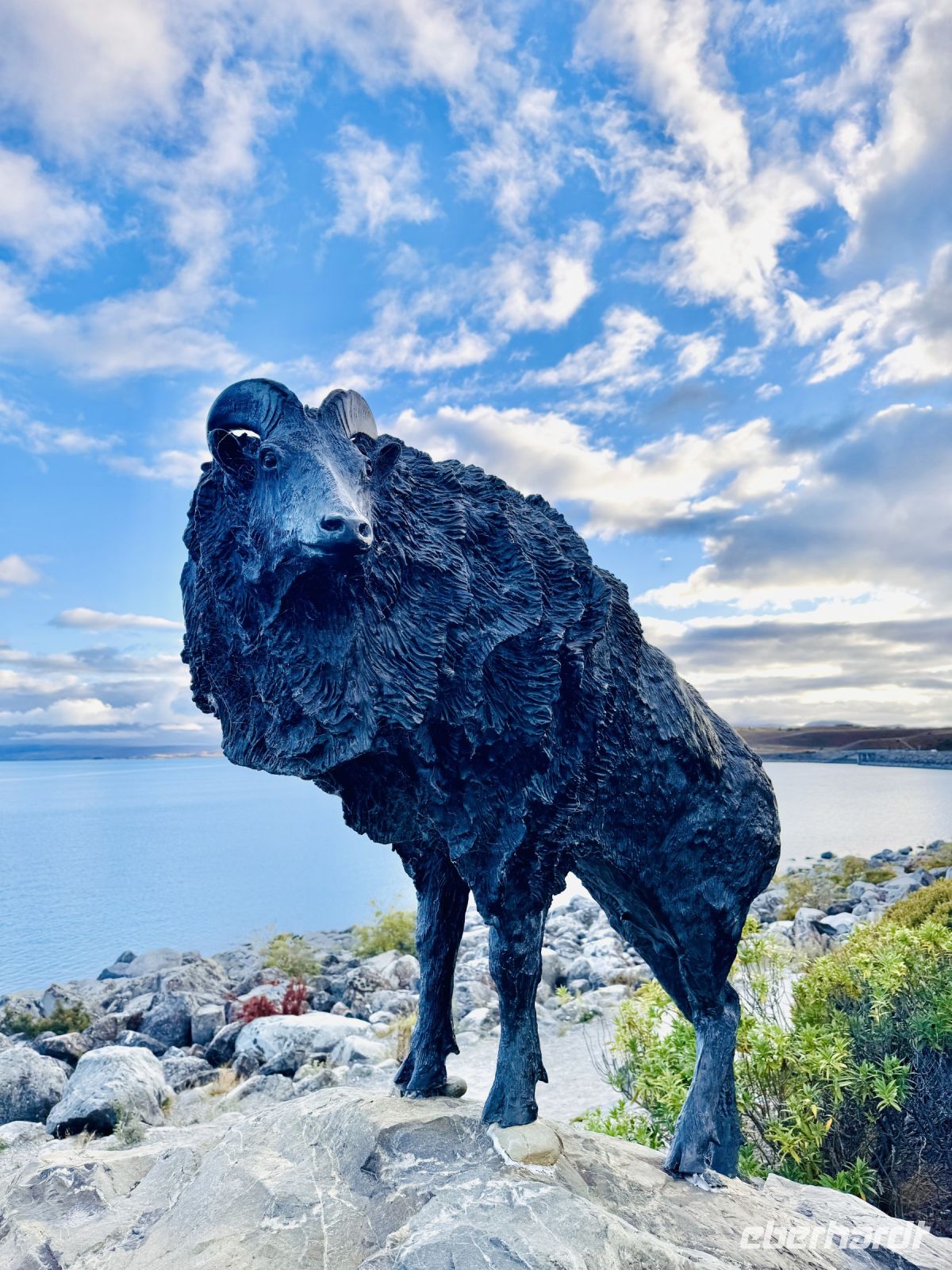 Tag 15 - Tahr-Statue am Lake Pukaki