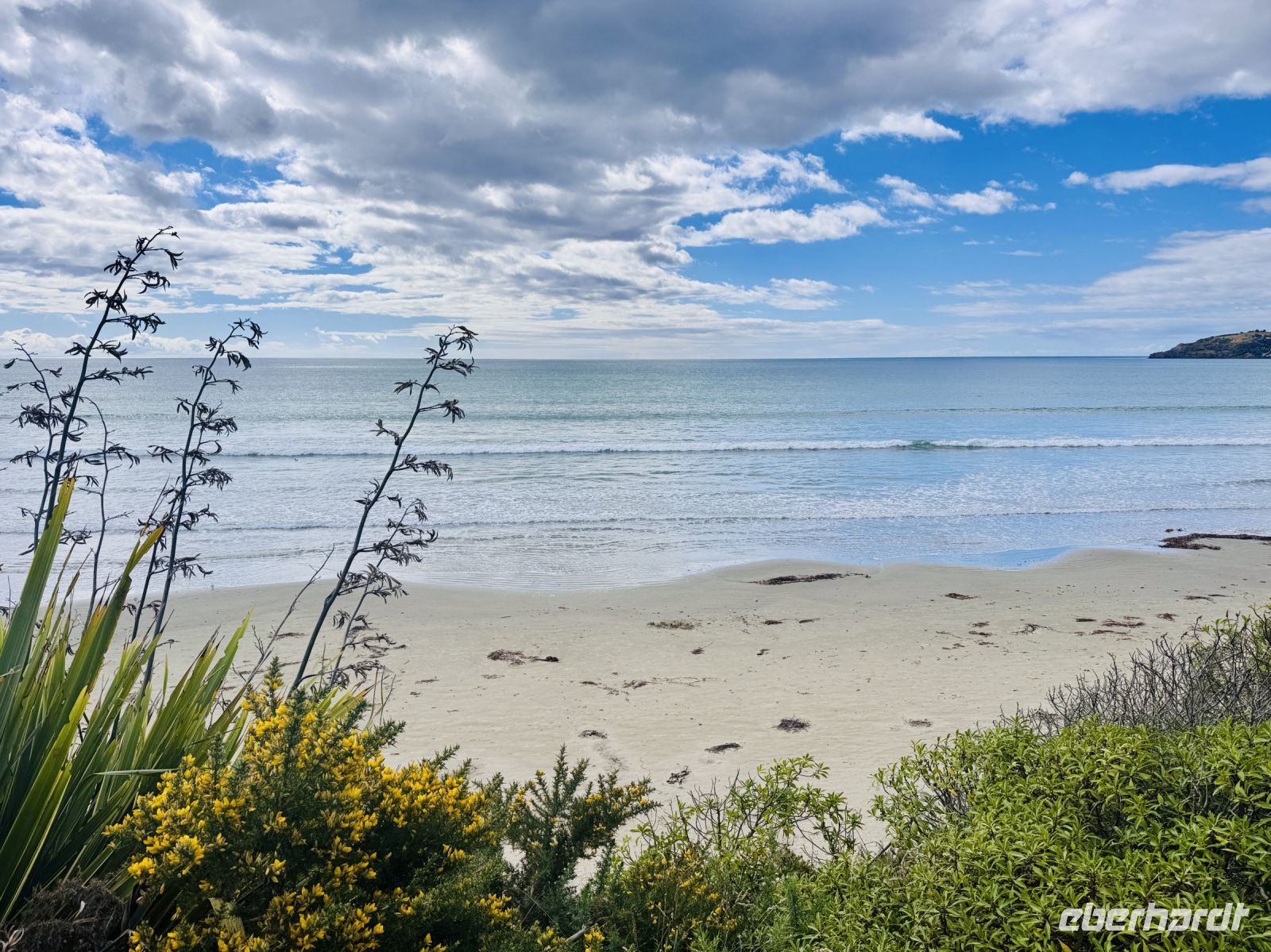 Tag 15 - Moeraki Boulders Beach