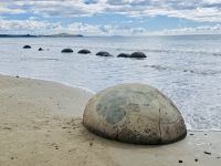 Tag 15 - Steinkugeln am Moeraki Boulders Beach