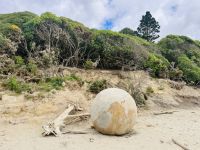 Tag 15 - Steinkugeln am Moeraki Boulders Beach