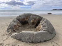 Tag 15 - Steinkugeln am Moeraki Boulders Beach