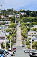 Tag 15 - Baldwin Street, Dunedin 