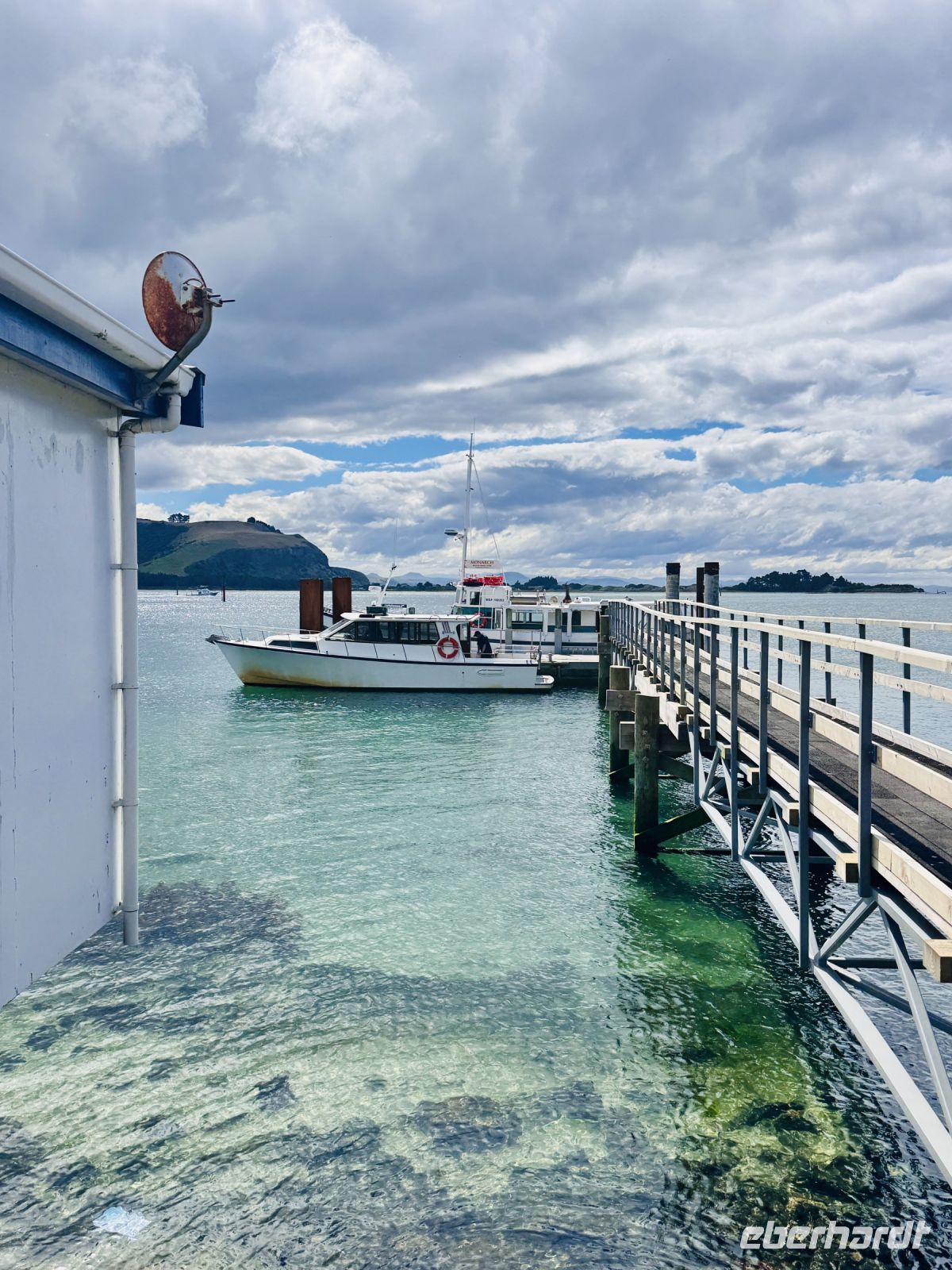 Tag 15 - Monarch Wildlife Cruise