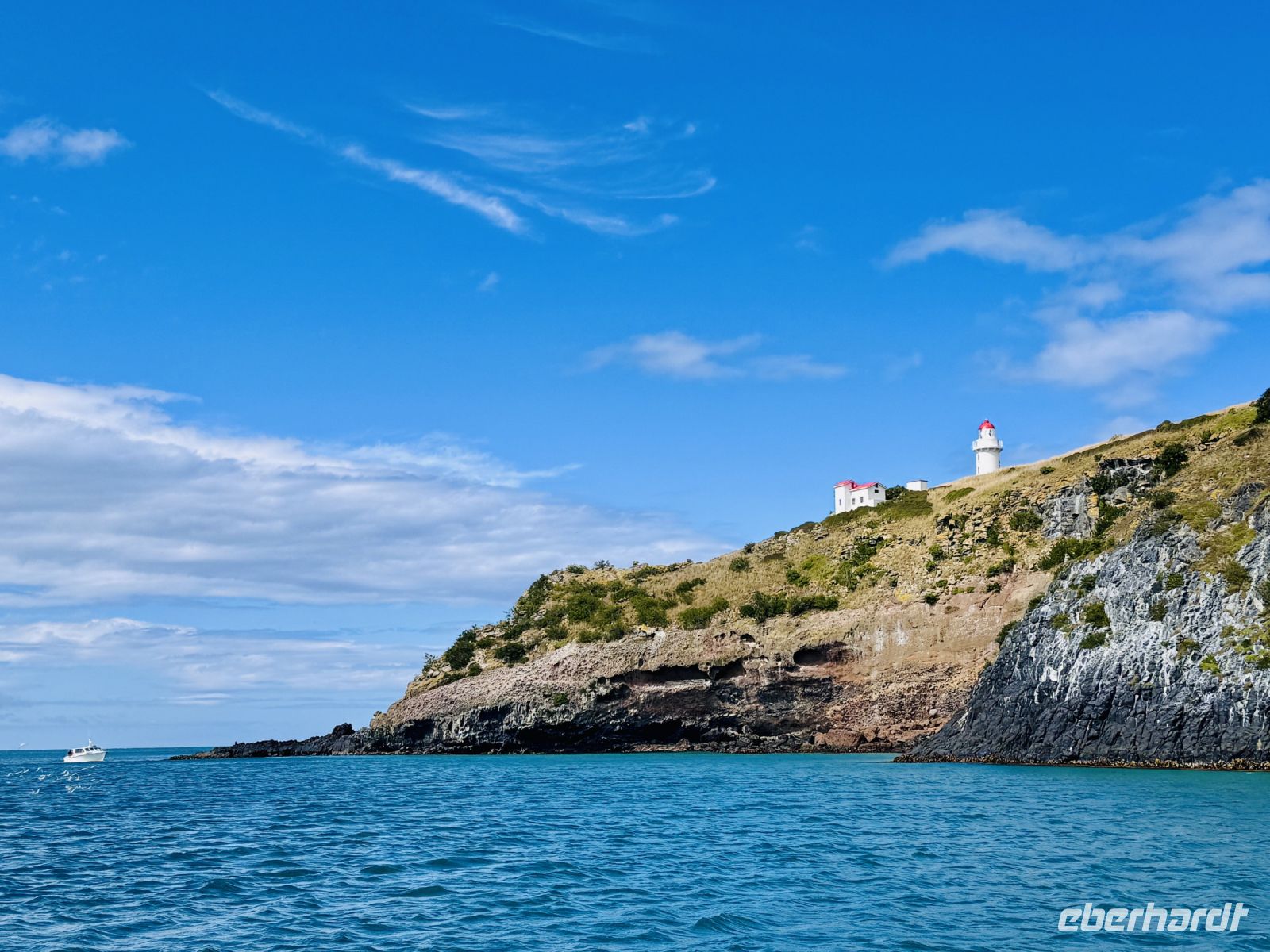 Tag 15 - Bootstour mit Monarch Wildlife Cruise