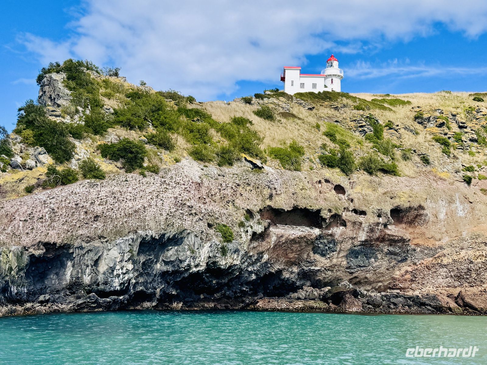 Tag 15 - Bootstour mit Monarch Wildlife Cruise