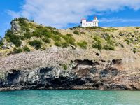 Tag 15 - Bootstour mit Monarch Wildlife Cruise