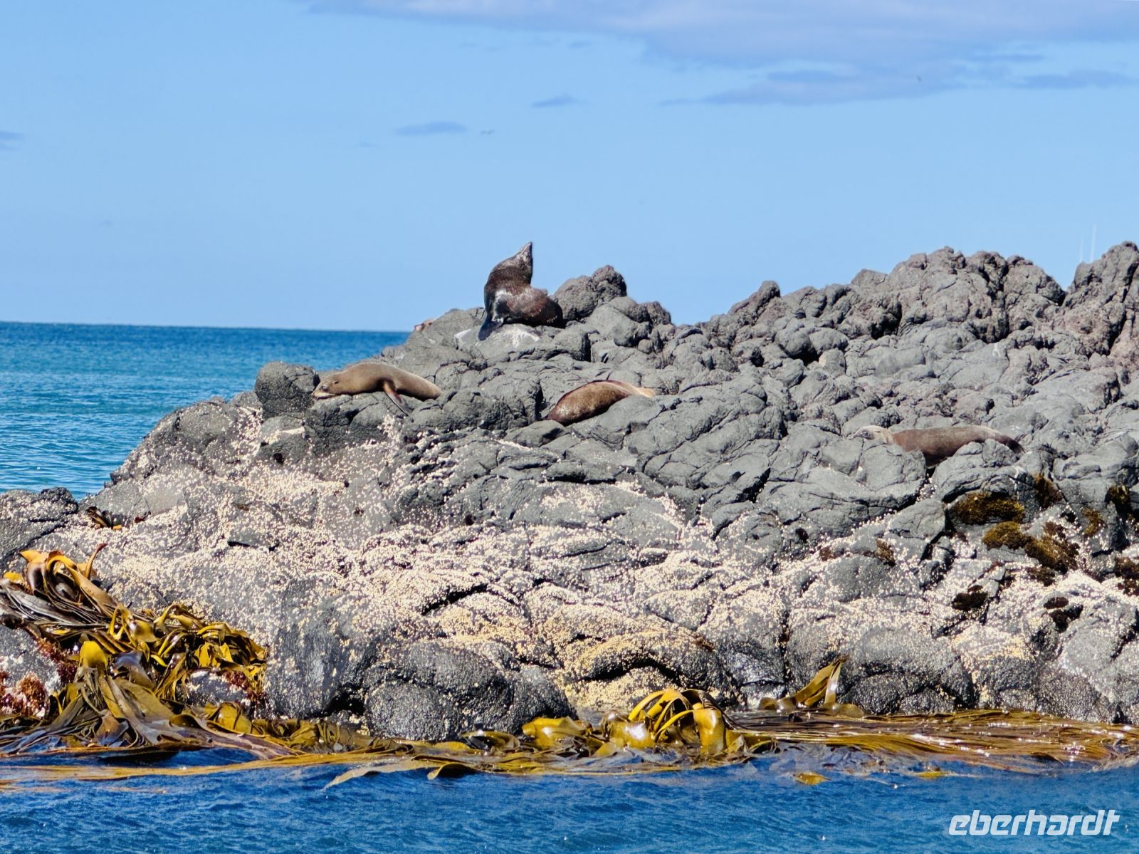 Tag 15 - Bootstour mit Monarch Wildlife Cruise