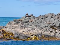 Tag 15 - Bootstour mit Monarch Wildlife Cruise