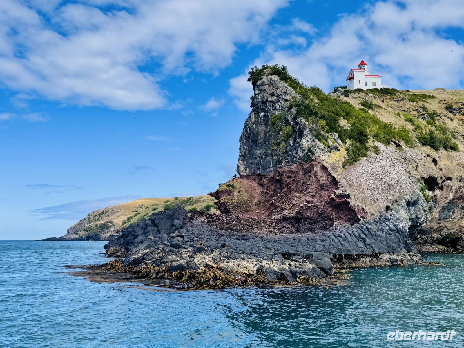 Tag 15 - Bootstour mit Monarch Wildlife Cruise