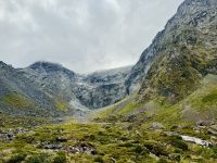 Tag 16 - Auf dem Weg zum Milford Sound