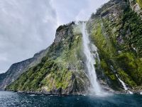 Tag 16 - Milford Sound