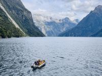 Tag 16 - Tenderbootsfahrt im Milford Sound