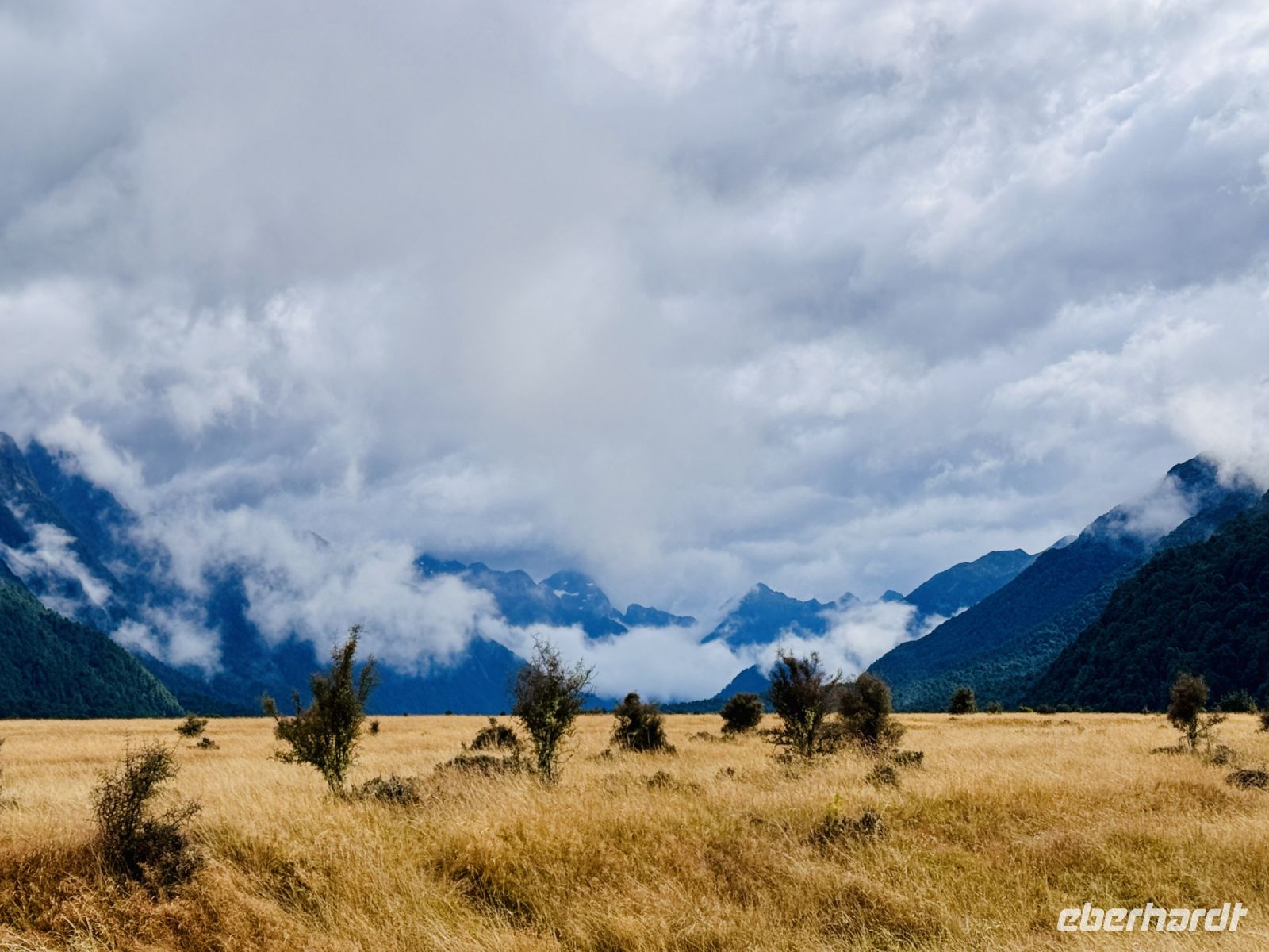 Tag 17 - Eglinton Flats