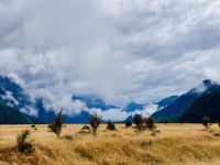 Tag 17 - Eglinton Flats