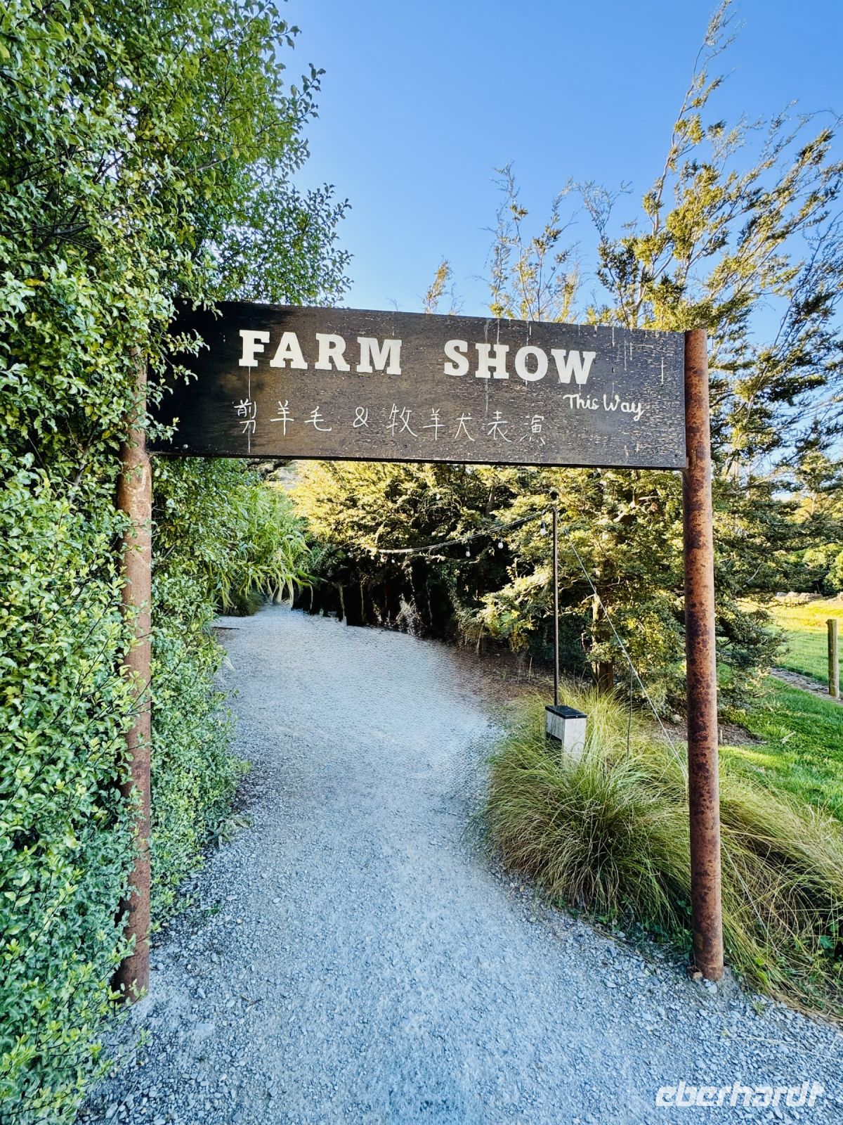 Tag 18 - Farm Show auf der Walter Peak Farm