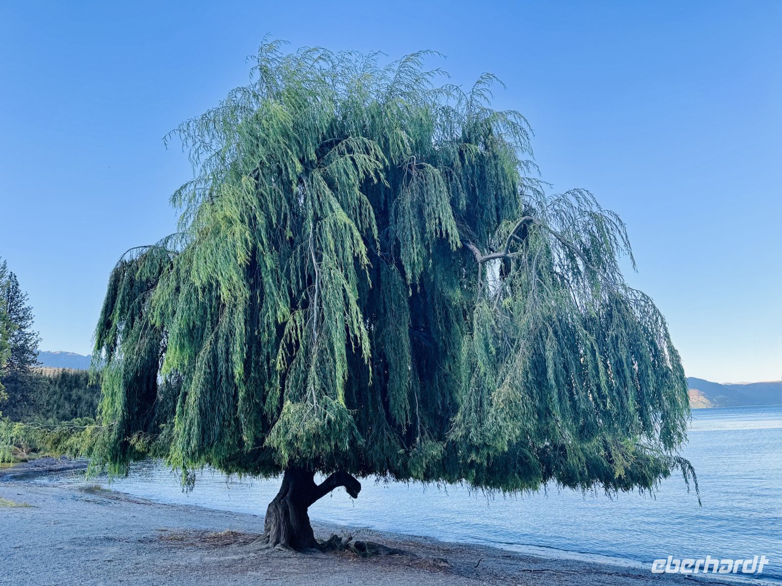 Tag 18 - Walter Peak Farm