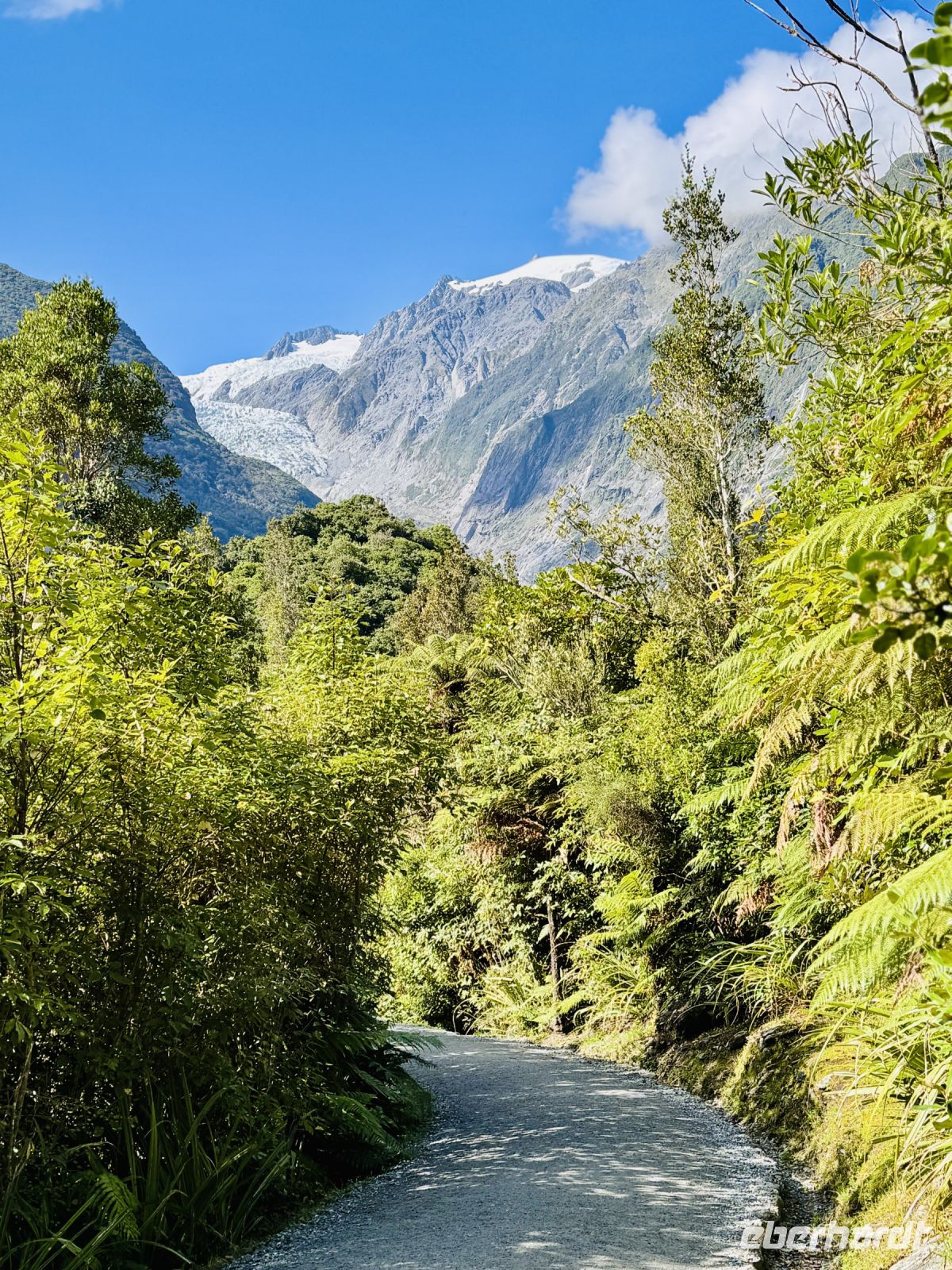 Tag 20 - Franz Josef Gletscher