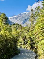 Tag 20 - Franz Josef Gletscher