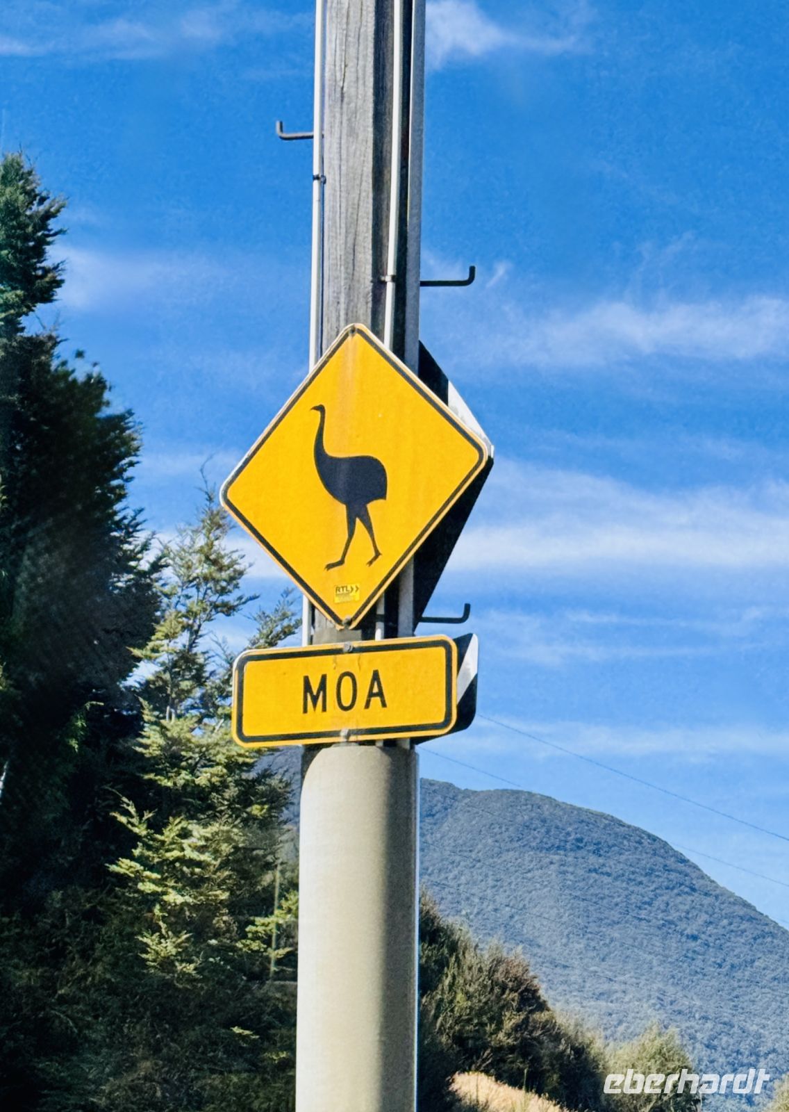 Tag 21 - Achtung Moa