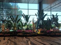 Welcome to Singapore 