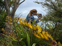 Da ist doch was im Busch