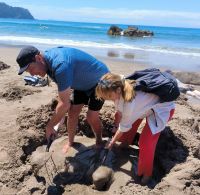 Reiseleiter Dream Team