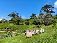 Die Wäsche ist trocken