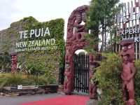Te Puia