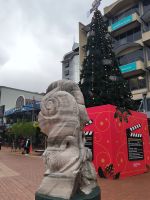 Es weihnachtet in Wellington 