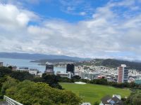 Blick auf Wellington 