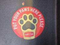 Cable Car Wellington 