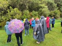 Wanderung im Regenwald