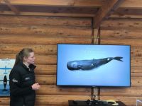 Was man sehen könnte