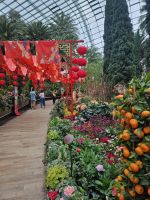 Gardens by the Bay - Flowerdome