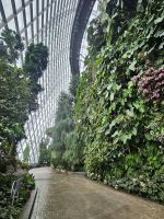 Gardens by the Bay - Cloud Forest 1