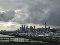 Auckland Skyline 1