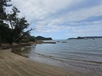 Strand in Paihia
