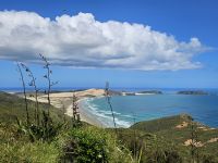 Blick vom Cape Reinga