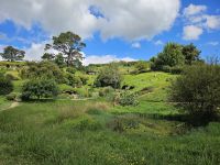 Hobbiton 1