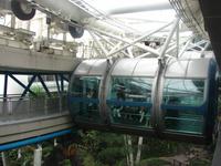Fahrt mit dem Singapore Flyer (5)