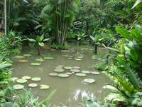 Im Botanischen Garten  (3)