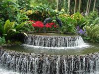 Im Botanischen Garten  (4)