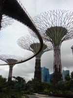 Stippvisite im Garden on the Bay (4)