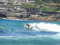 Stadtrundfahrt in Sydney (20)