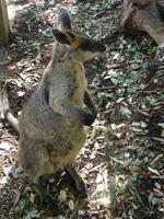 Im Federal Wildlife Park (12)